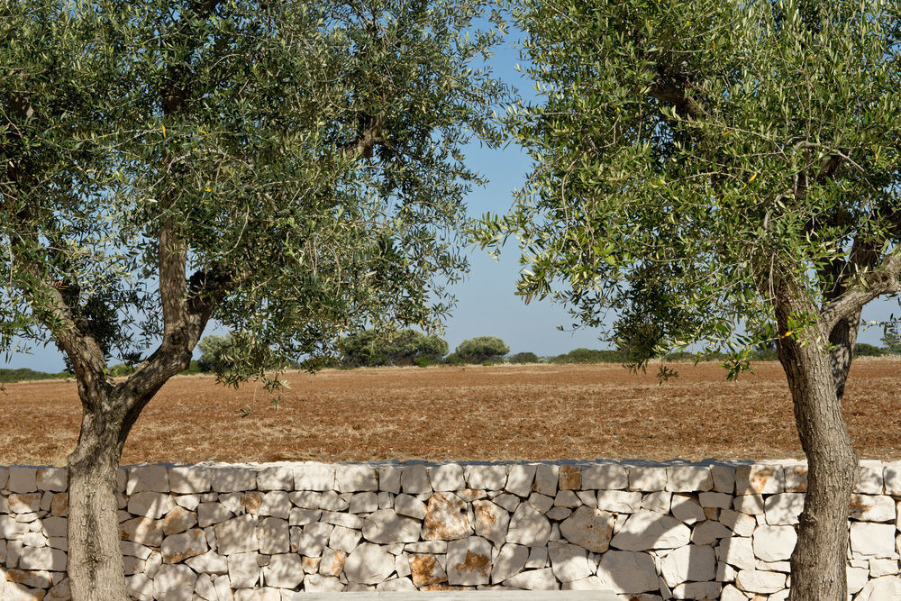 Grand Hotel Masseria Santa Lucia Остуни Экстерьер фото